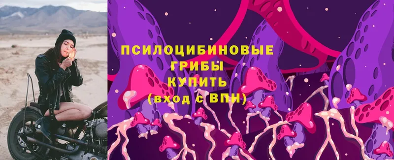 Псилоцибиновые грибы MAGIC MUSHROOMS  OMG   Барабинск 